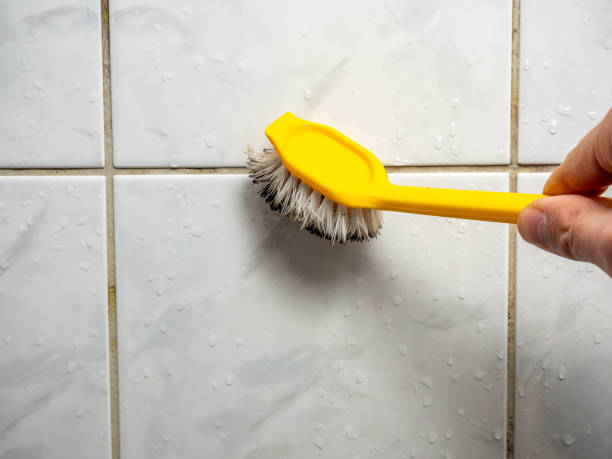 Best Best Mold Removal Companies  in Mullica Hill, NJ