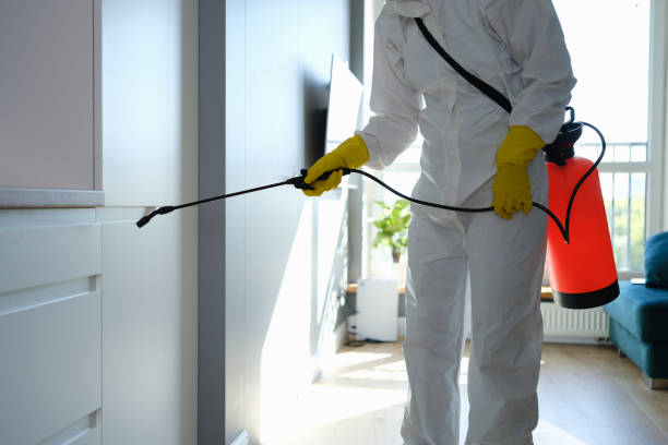 Best Professional Mold Removal  in Mullica Hill, NJ